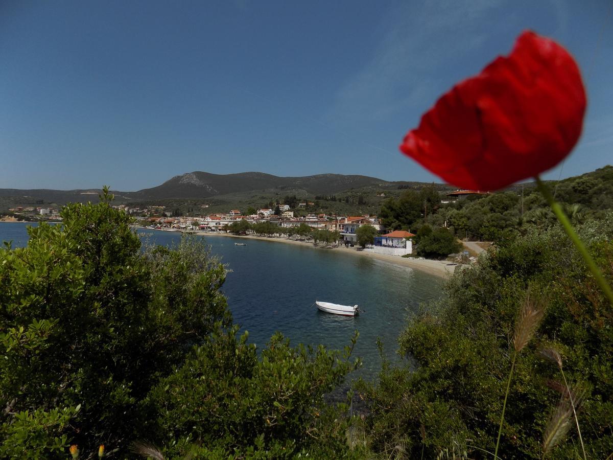 Glyfoneri Maizonettes Daire Glífa Dış mekan fotoğraf